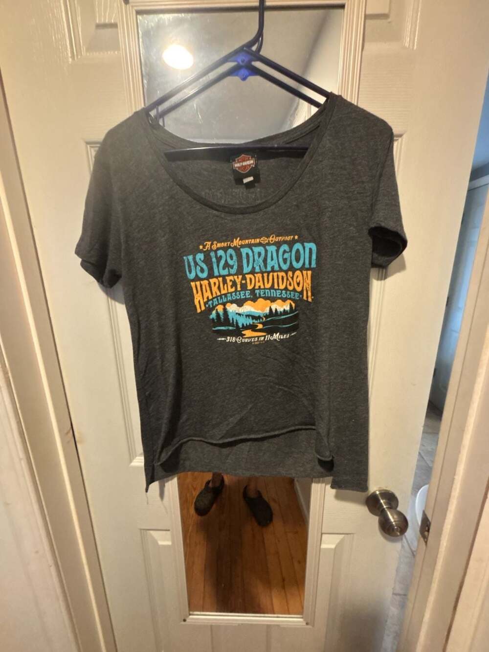 Harley-Davidson Women's US 129 Dragon Smoky Mountain Outpost Gray T-Shirt Size L